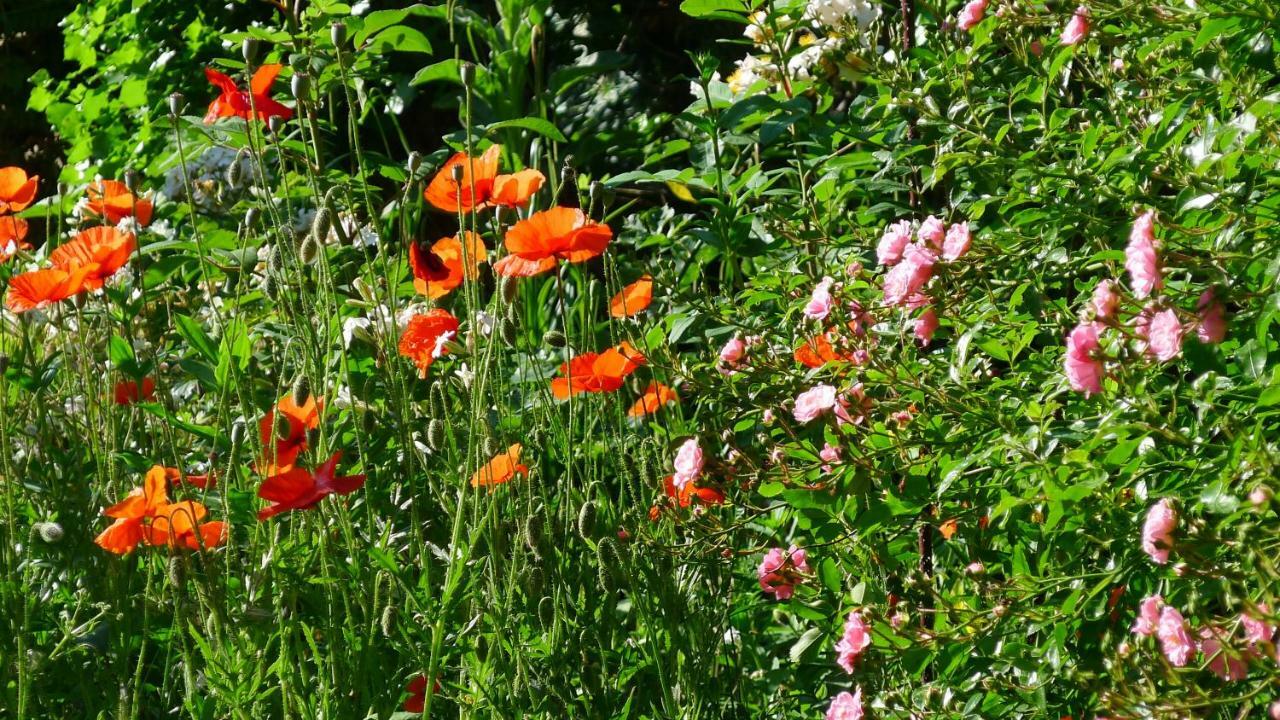 Le Petit Potager Bed & Breakfast Montbel  Екстериор снимка